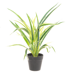 Open image in slideshow, 4Living Artificial Plant 42 cm
